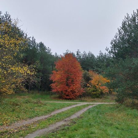 Agroturystyka Lesna Babka Jastrowie Экстерьер фото