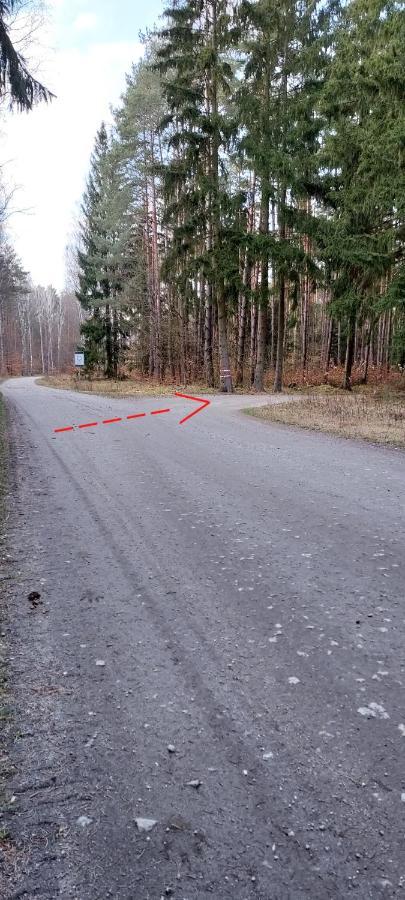 Agroturystyka Lesna Babka Jastrowie Экстерьер фото